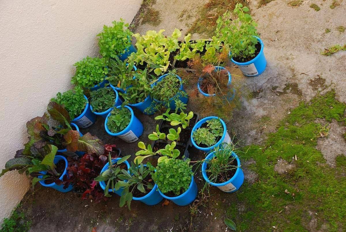 Clever Plastic Bottle Vertical Garden Ideas Farmfoodfamily