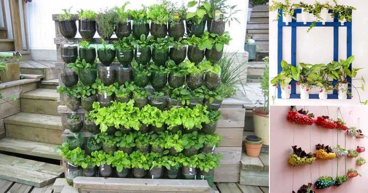 Vertical Garden Diy