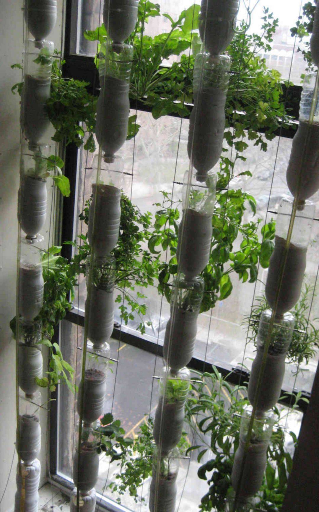 Plastic Bottle Vertical Garden Ideas