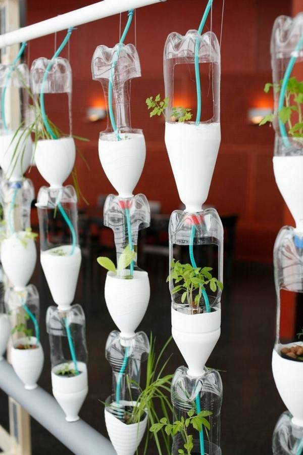 Recycled Soda Bottles