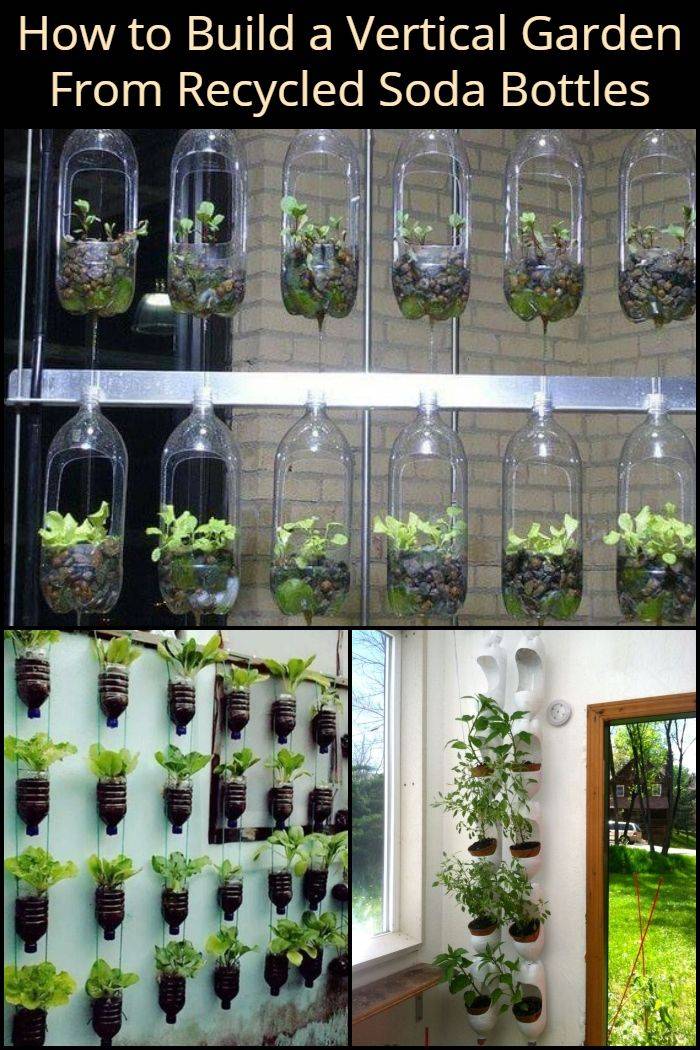 Diy Vertival Wall Plastic Bottle Garden Instructions Diy Plastic