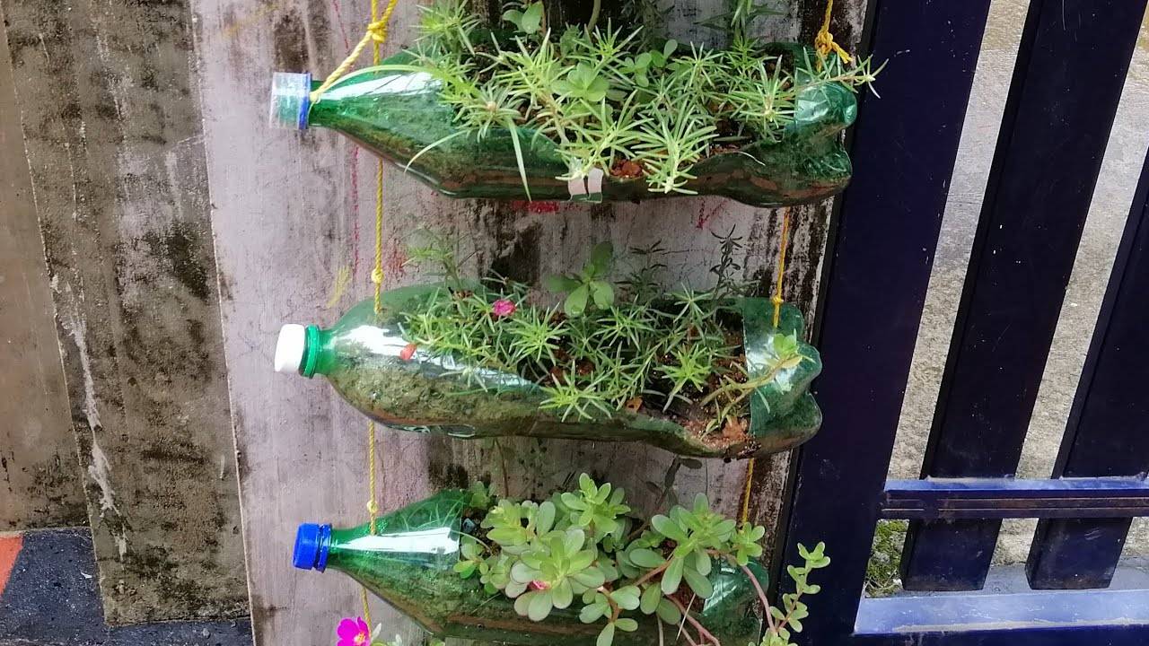 Plastic Bottle Vertical Garden Ideas