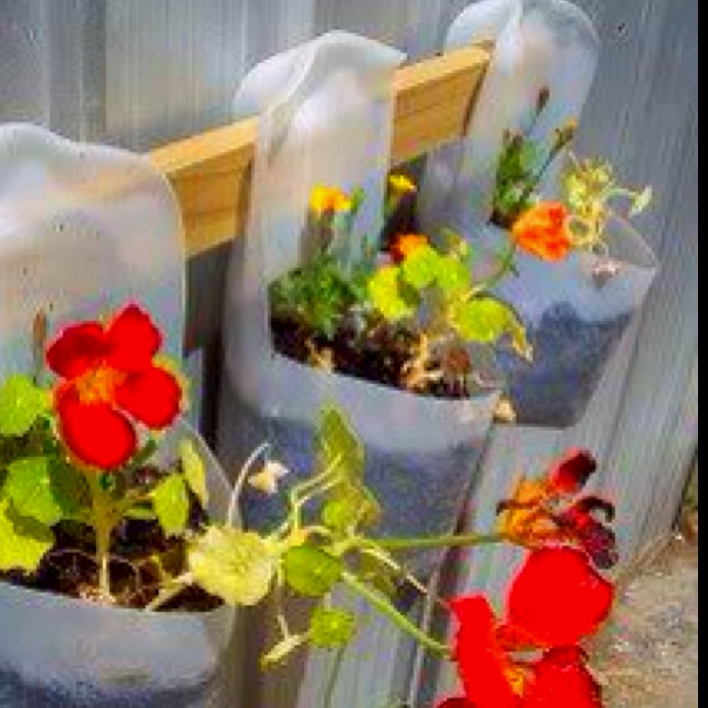Garden Recycled Garden Projects