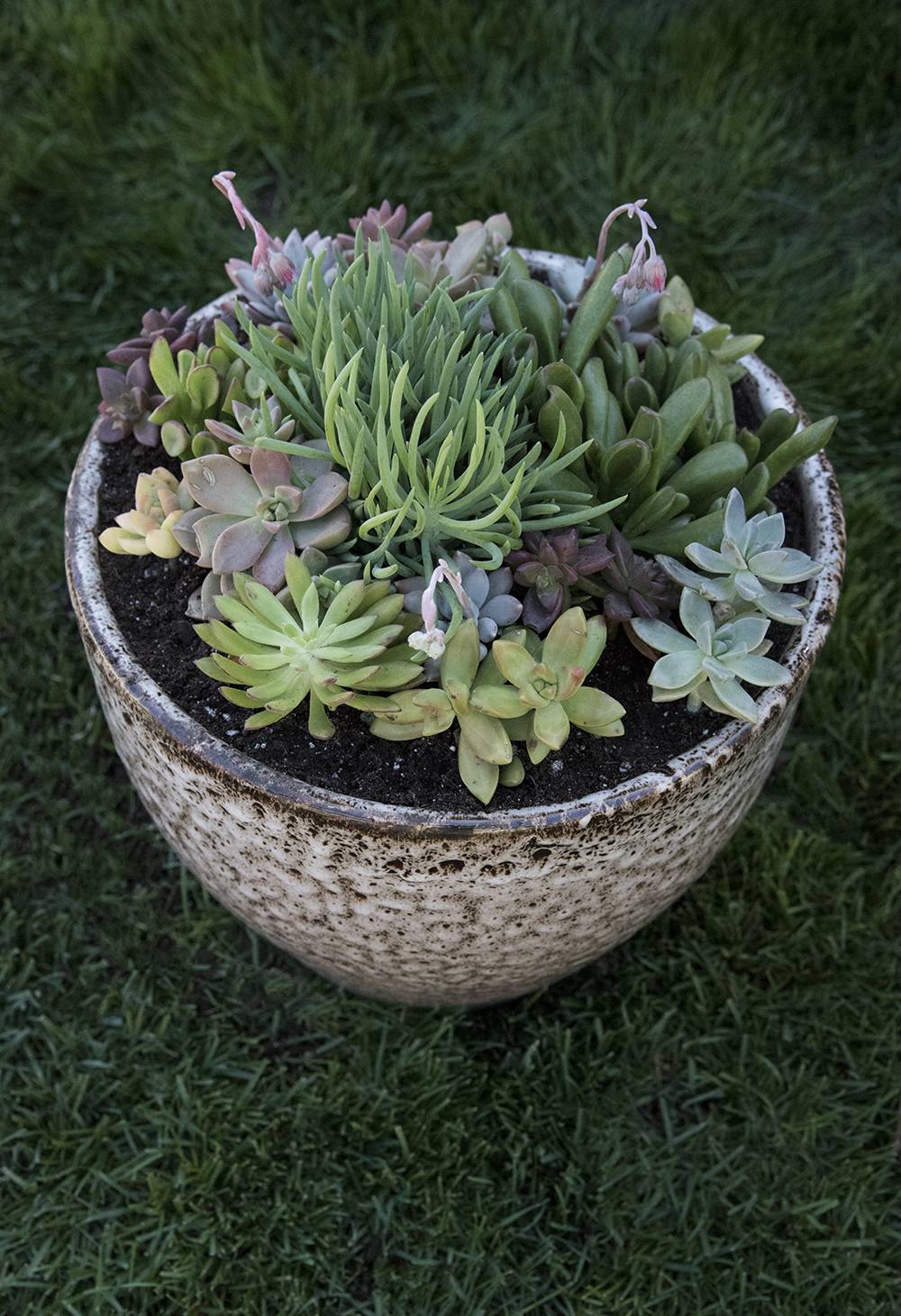 Cool Succulent Planter Ideas