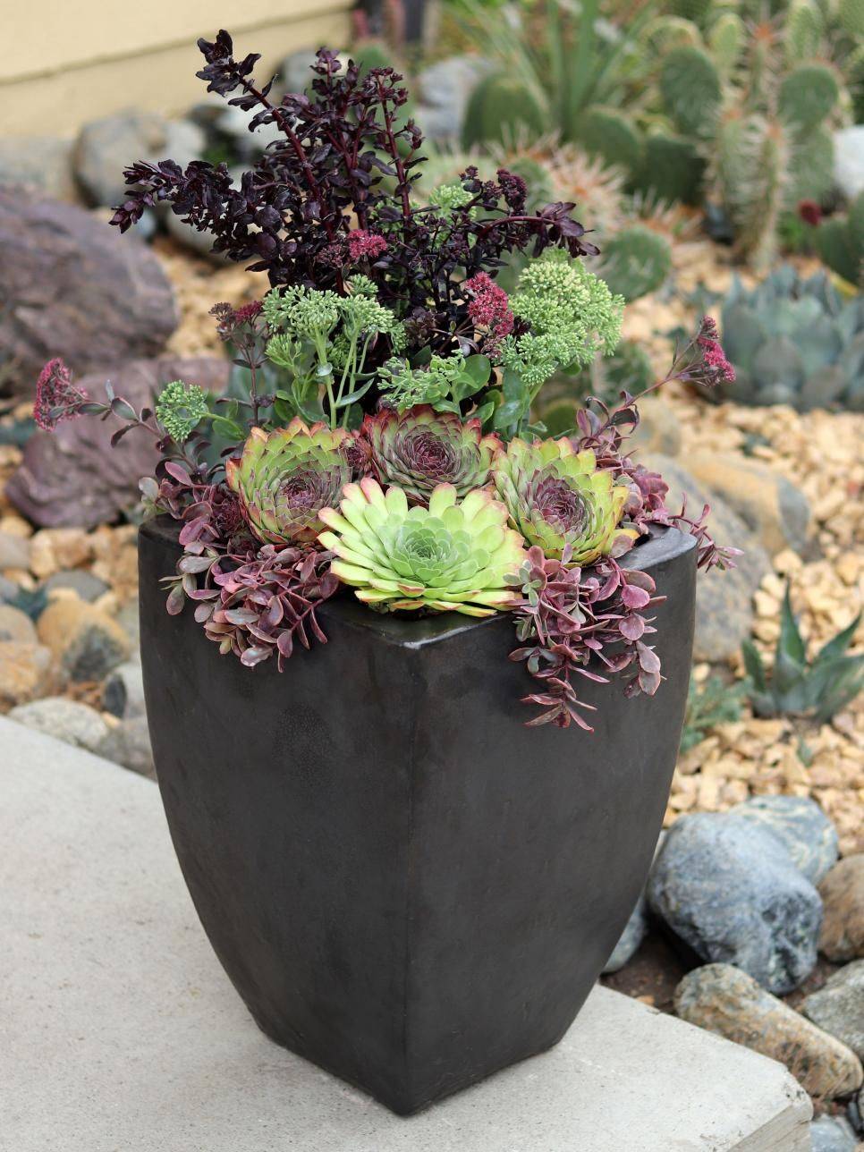 Beautiful Outdoor Succulent Planter Ideas Magzhouse