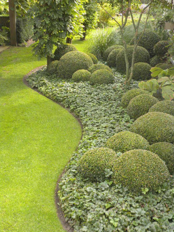 Beautiful Lawn Edging Ideas Homybuzz Front Yard Landscaping