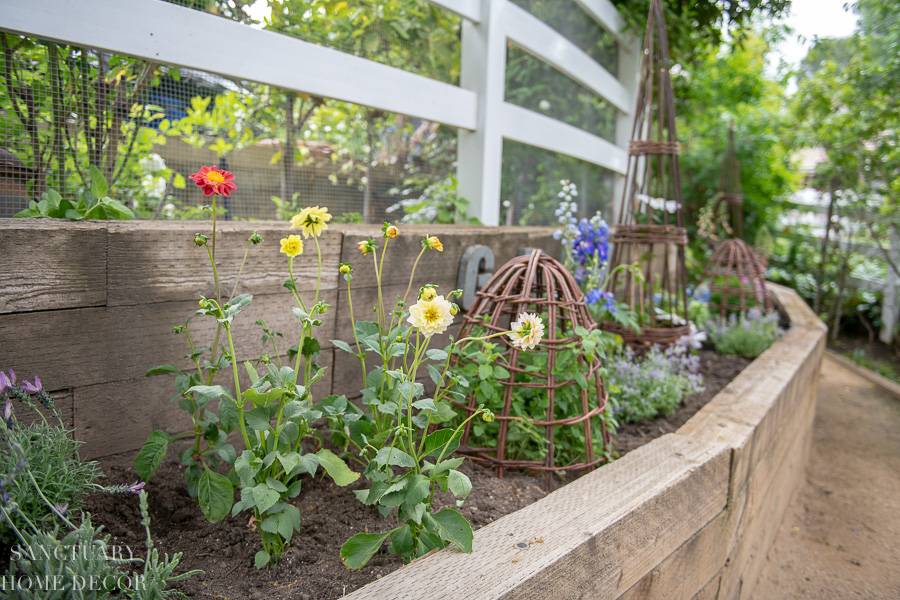 Simple Landscaping Ideas