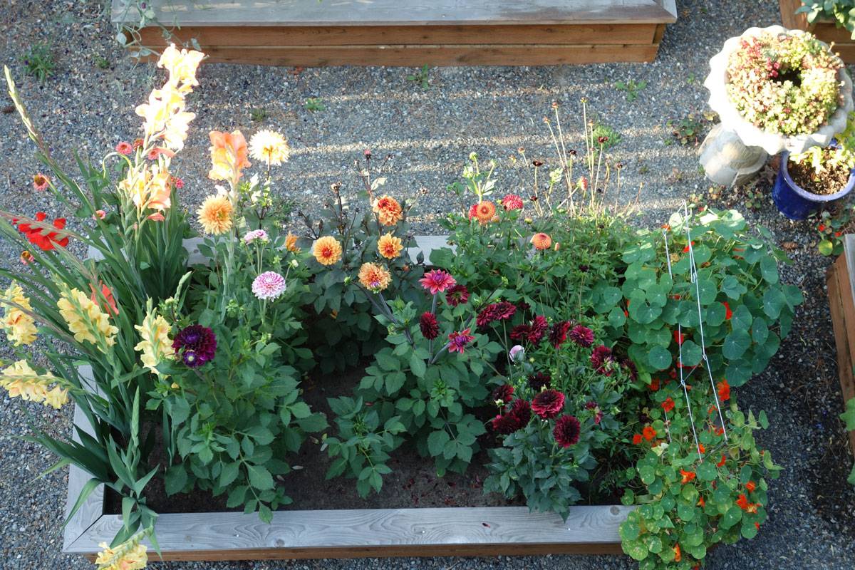 The Garden Path Garden Inspiration