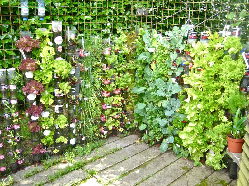 Creative Diy Gardening Ideas
