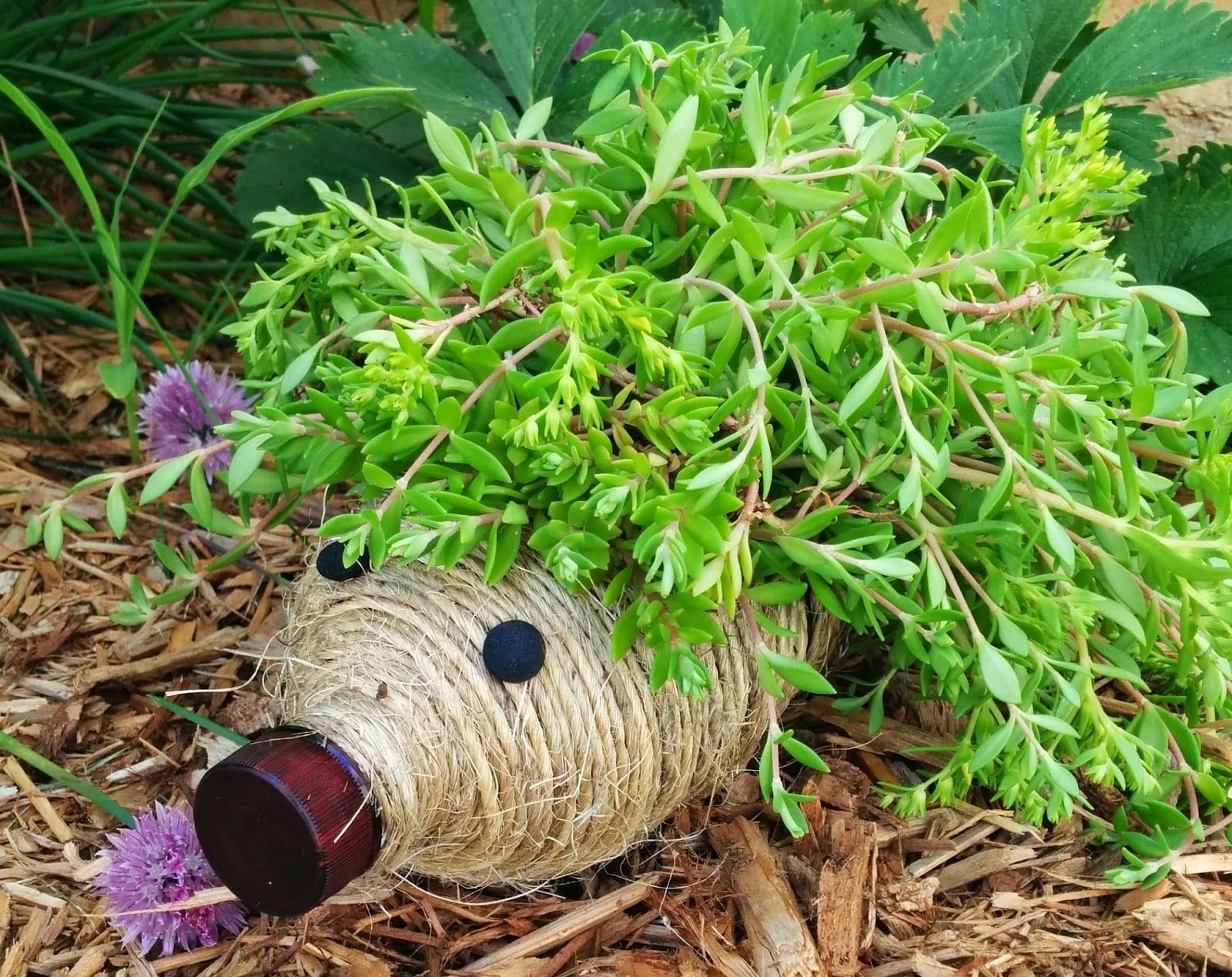 Remarkable Recycled Gardening Ideas