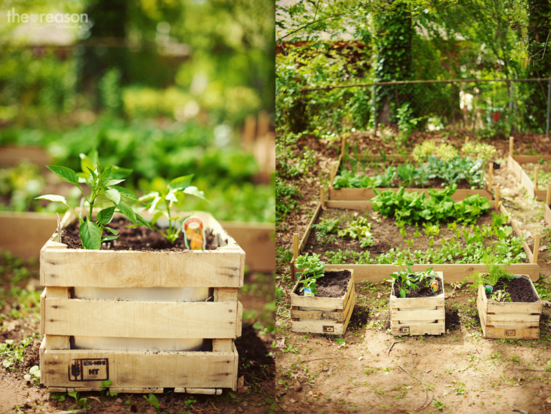The Ordinary Recycled Garden Planters Garden Lovers Club