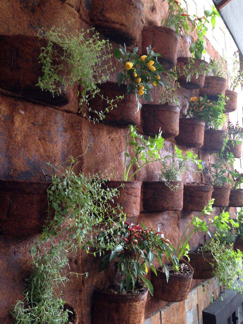 Small Home Yard Solutions