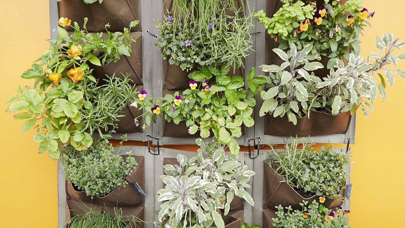 Vertical Garden Cottage Garden