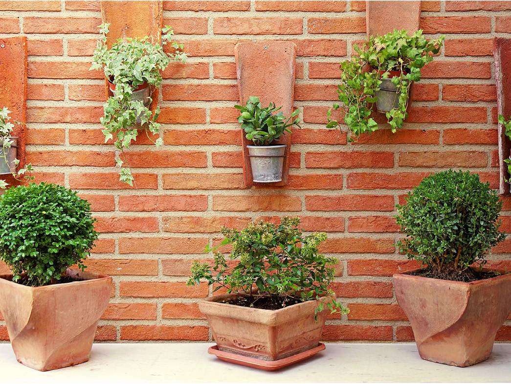 Vertical Gardening Planters