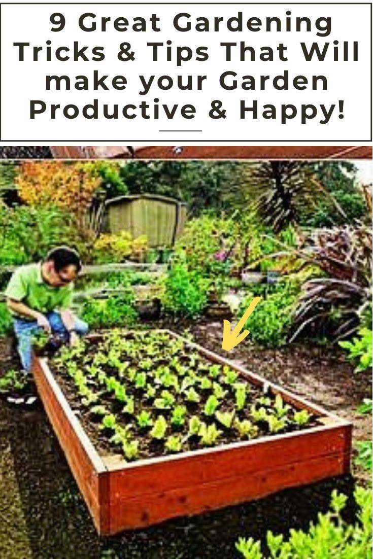 Insanely Genius Gardening Hacks