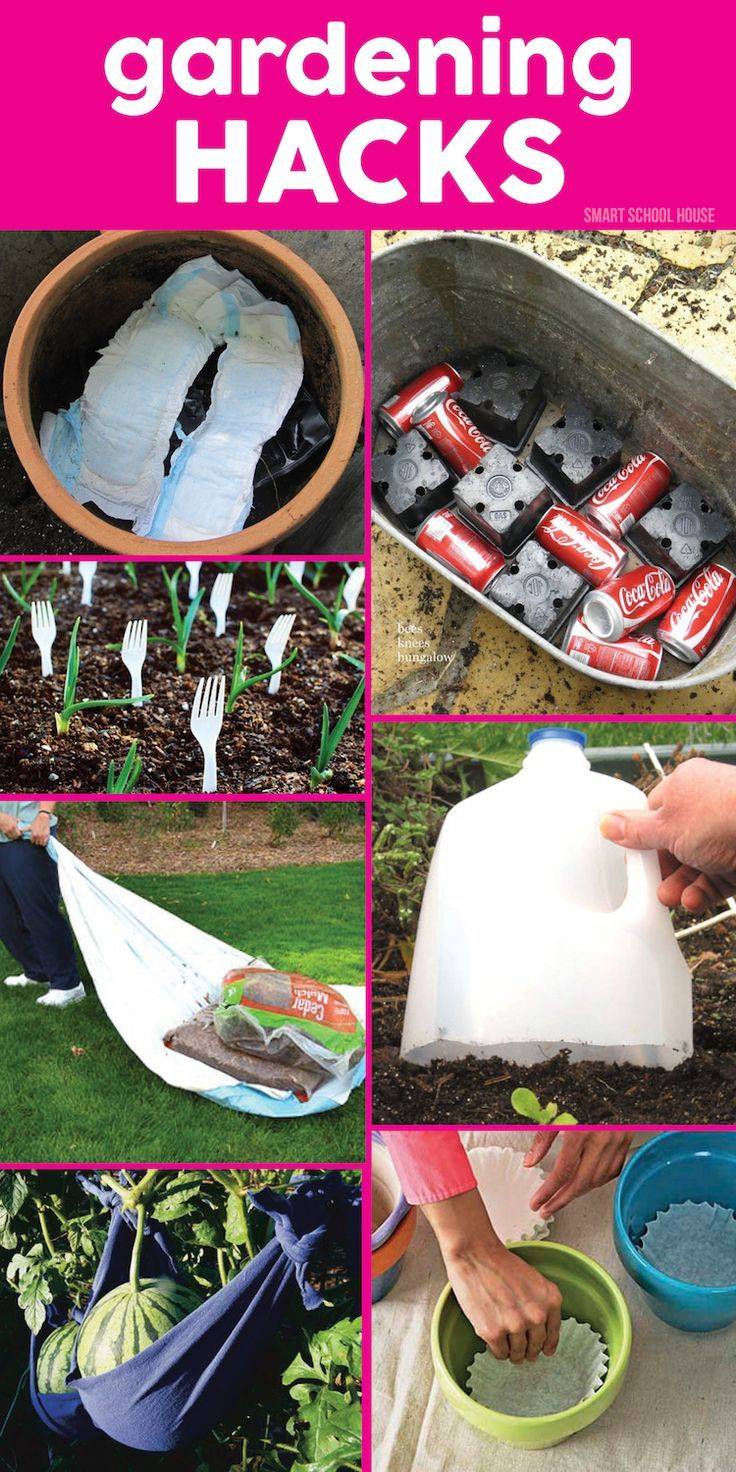 Creative Garden Hacks