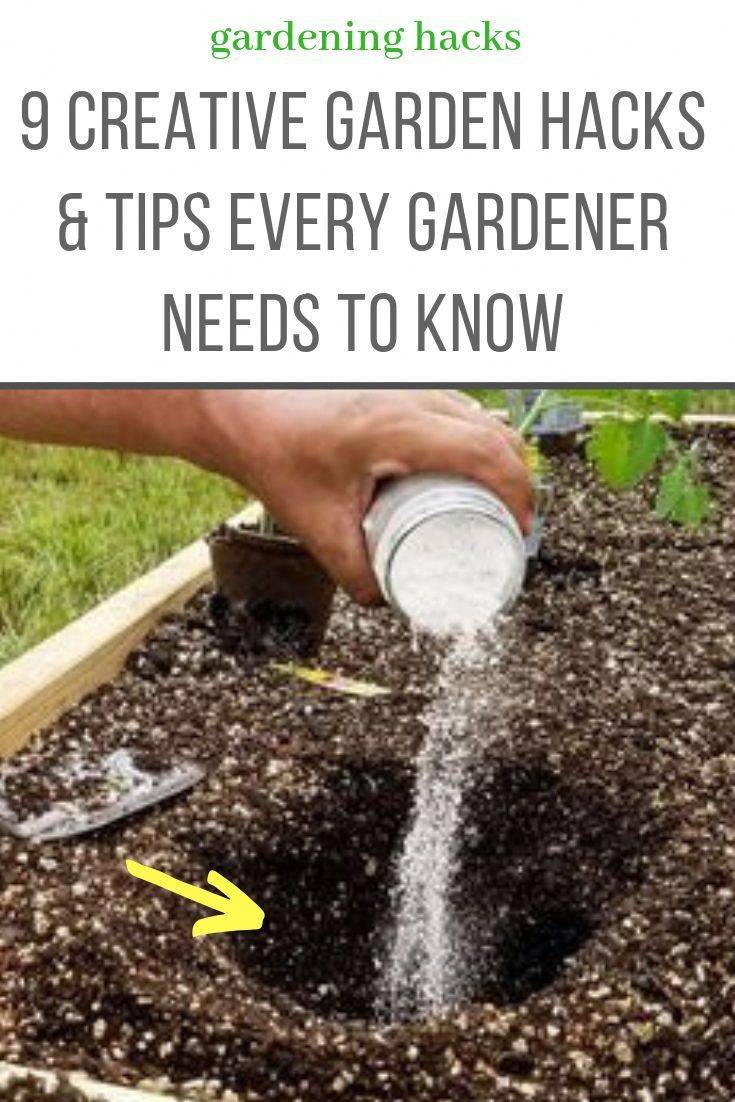 Ingenious Smallspace Garden Hacks Garden Ideas