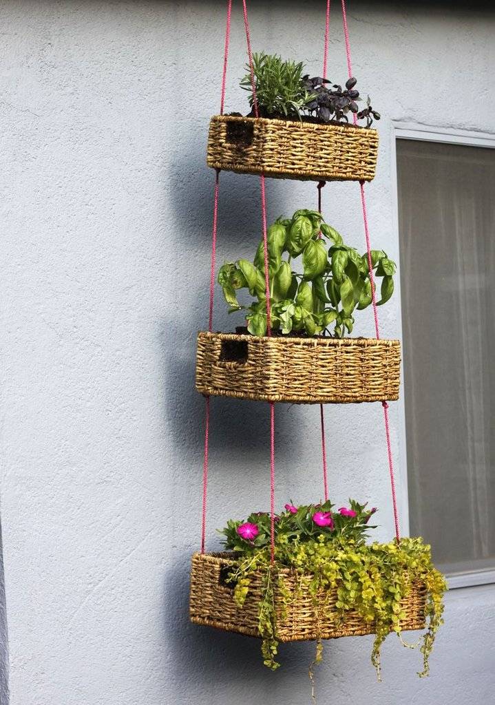 Garden Boxes