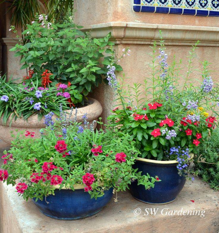 Our Best Butterfly Container Garden Ideas