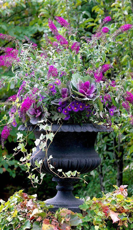 Butterfly Container Garden