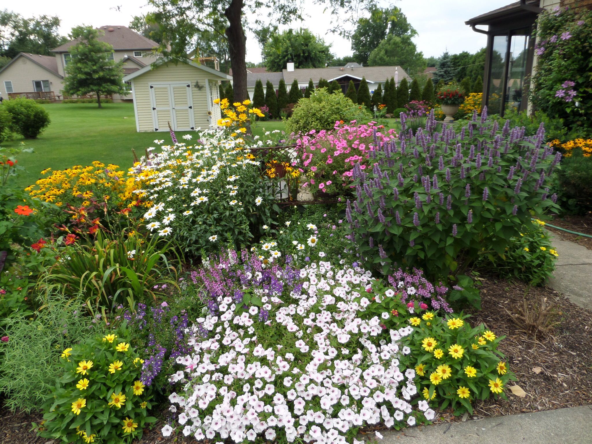 Hummingbird Garden Flowers