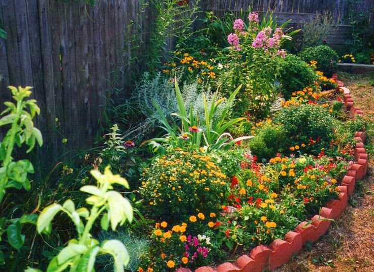 Our New Butterflyhummingbird Garden