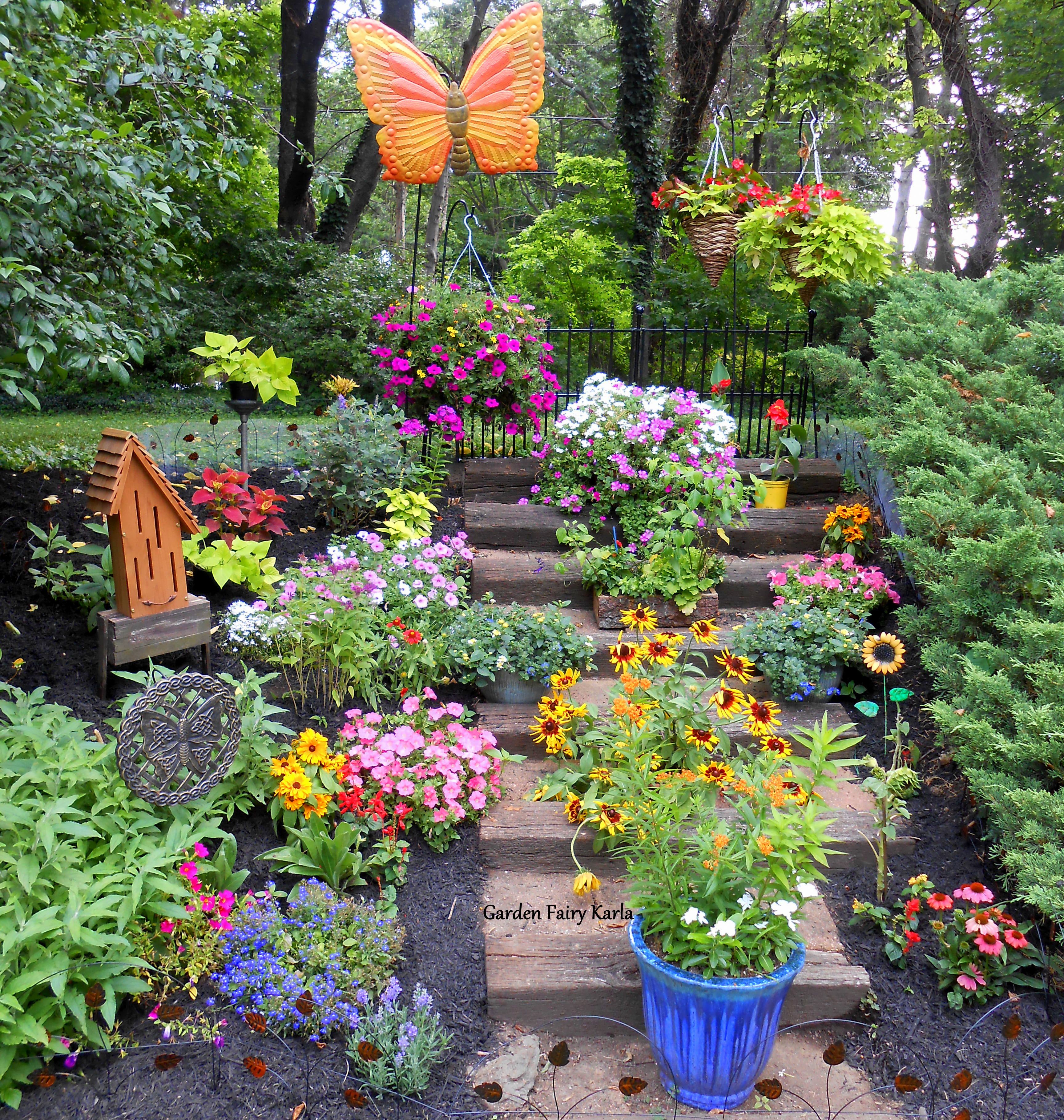 Hummingbird Garden