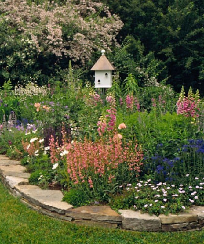 Hummingbird Garden