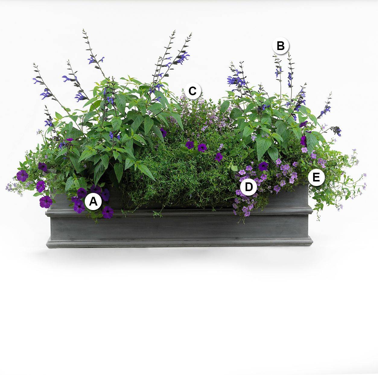 Container Garden Designs