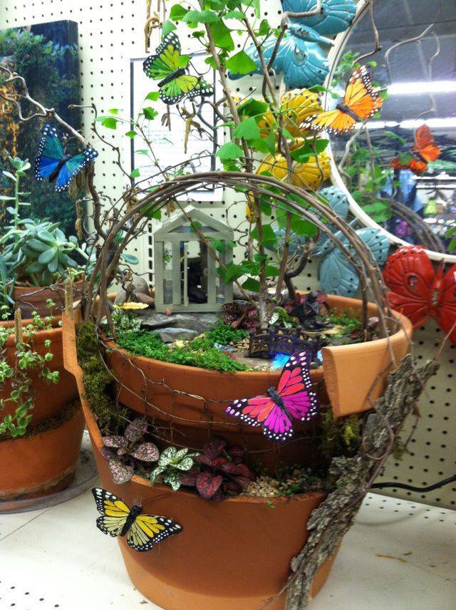 Cute Butterfly Container