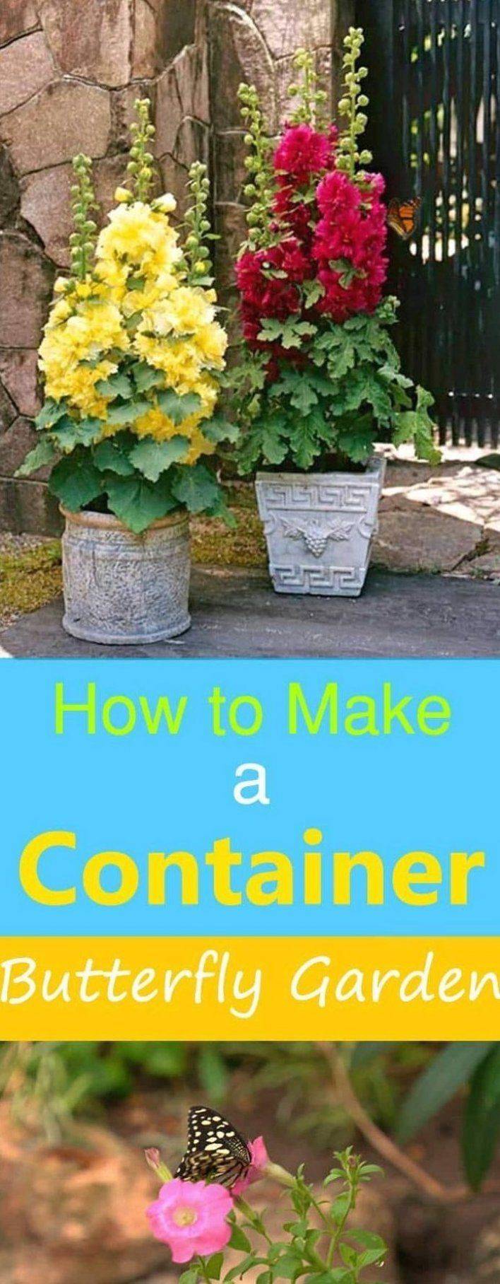 Plant Pot Flower