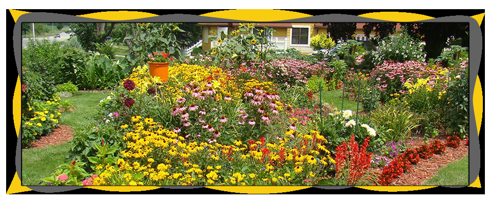 Most Elegant And Stunning Butterfly Garden