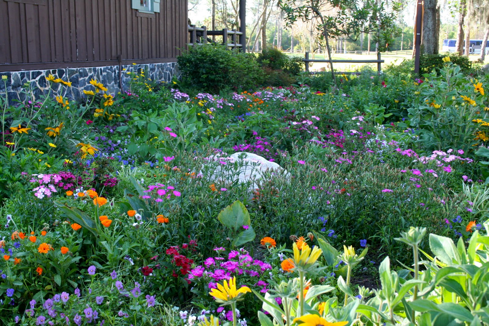 Monarch Butterfly Garden Monarch Butterfly Garden
