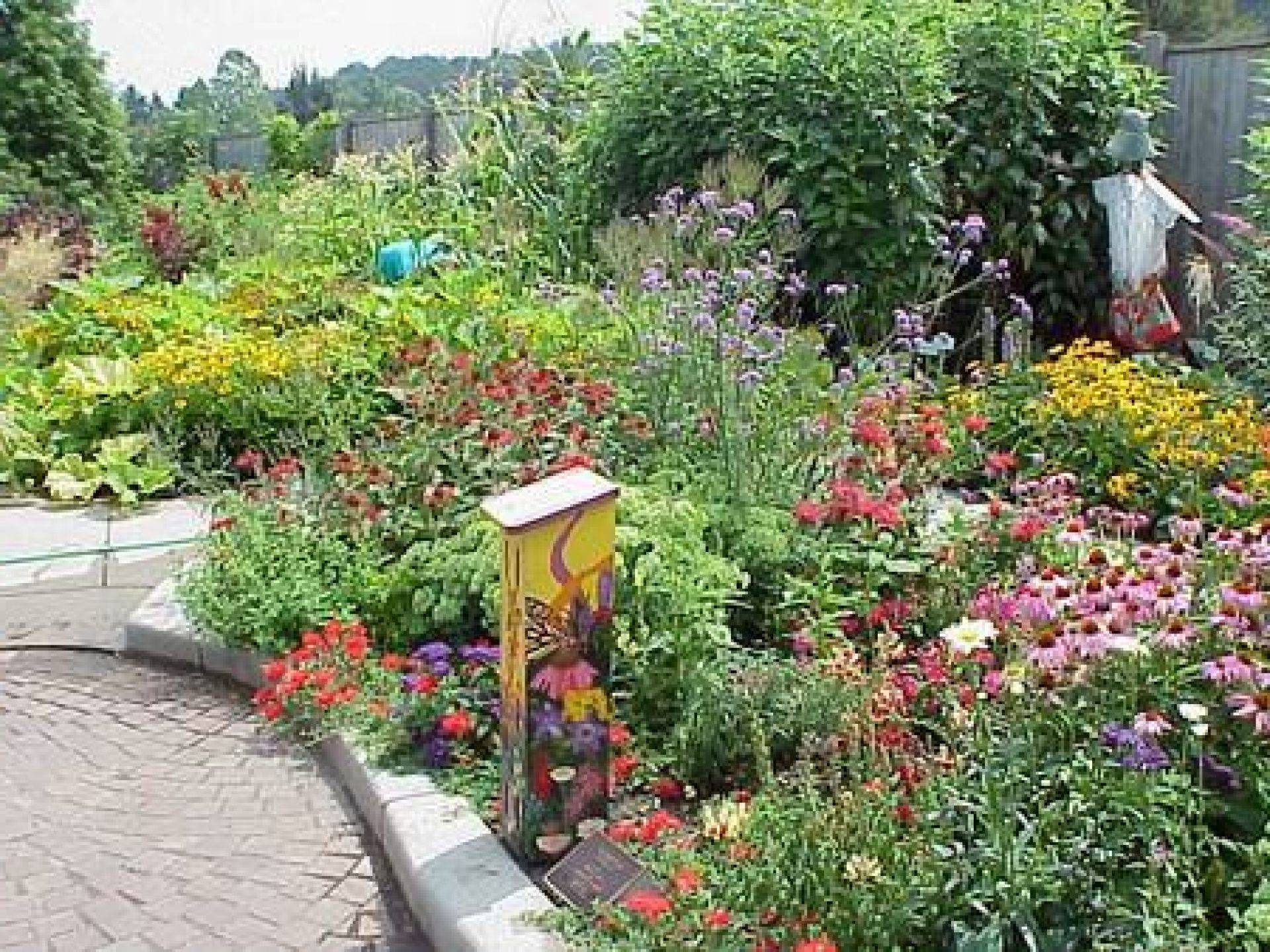 Butterfly Garden Ideas