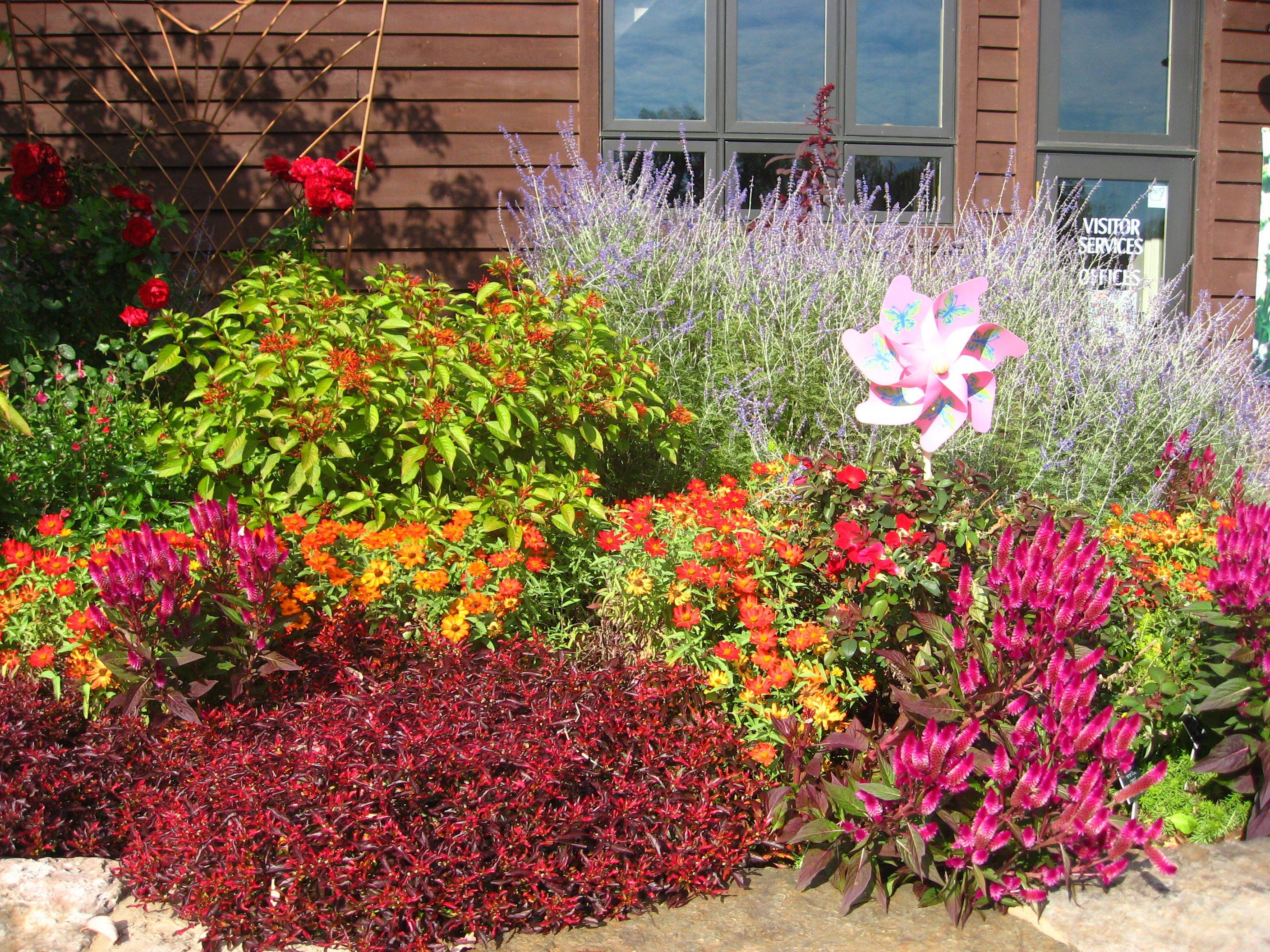 Easy Butterfly Garden Ideas