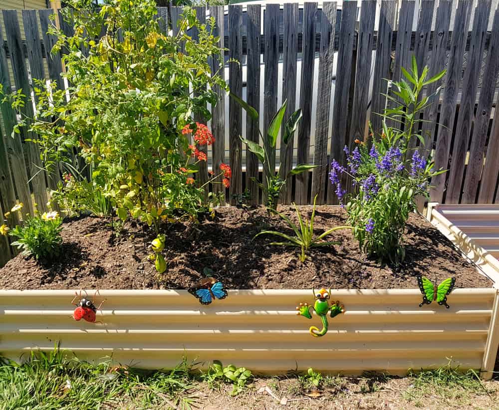Butterfly Garden