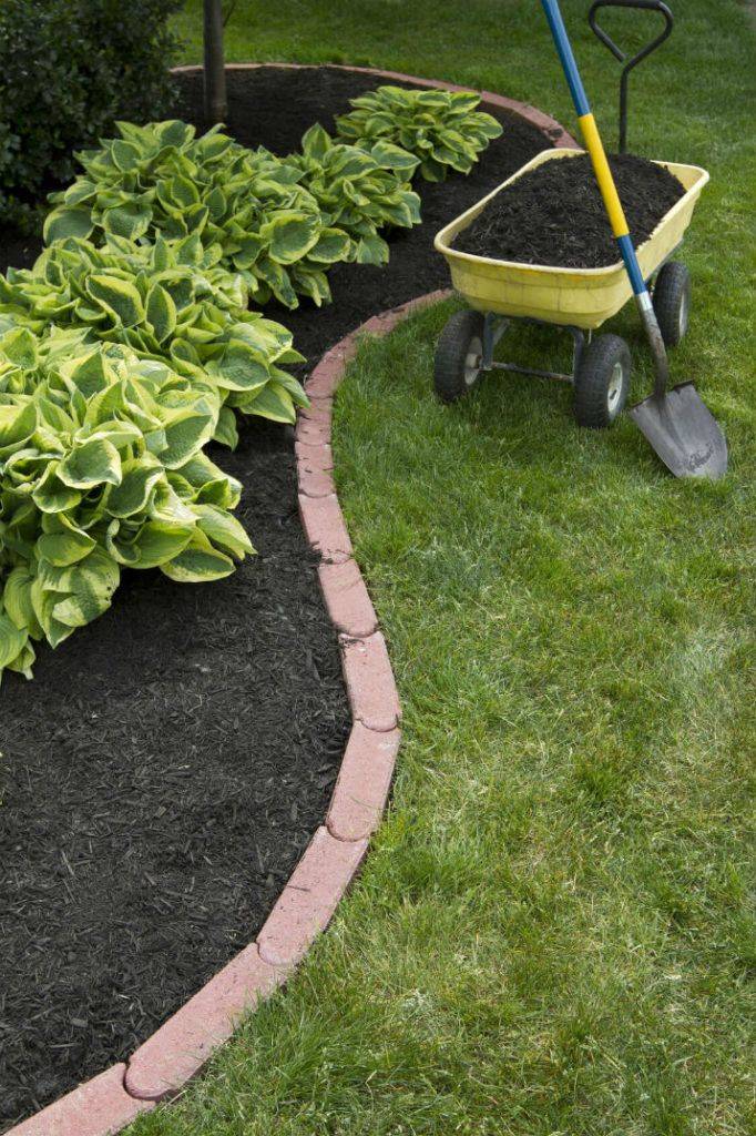 Stylish Garden Bed Edging Ideas Digsdigs