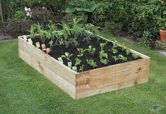 Raised Garden Beds