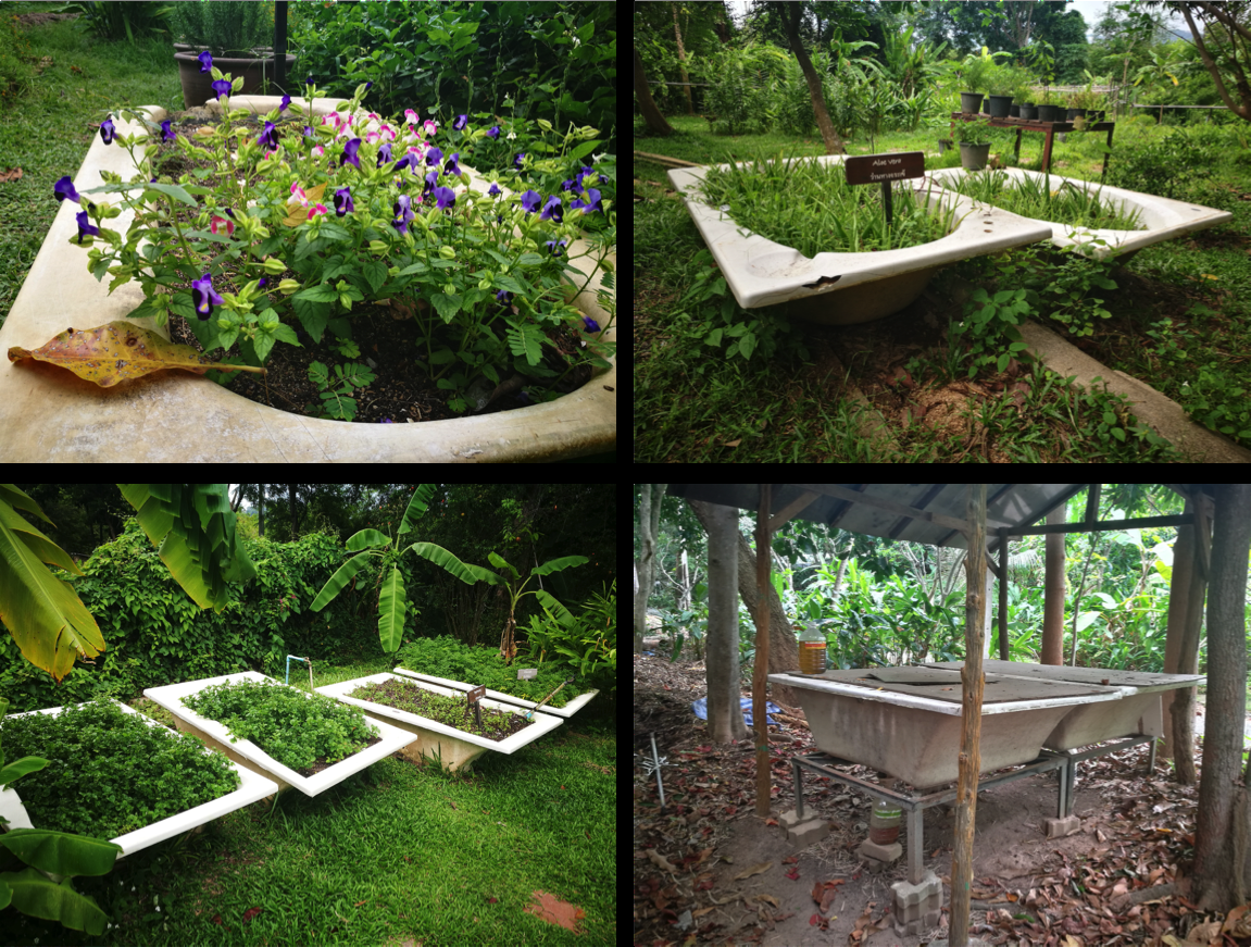 Raised Garden Beds