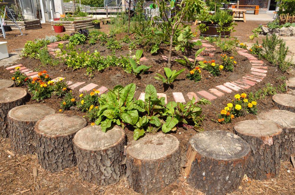 Raised Garden Beds