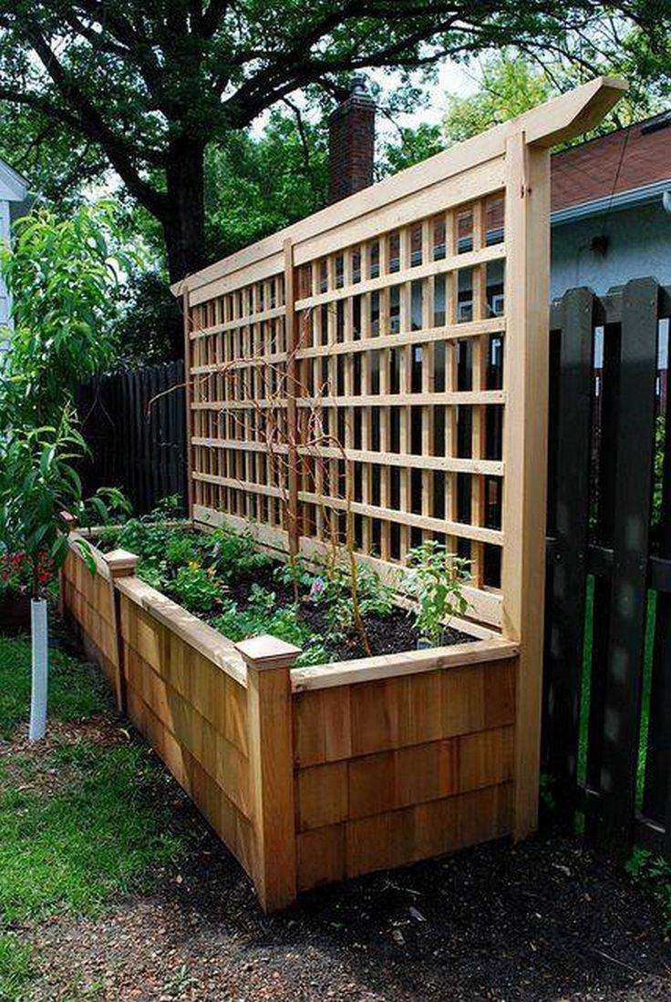 Raised Garden Beds