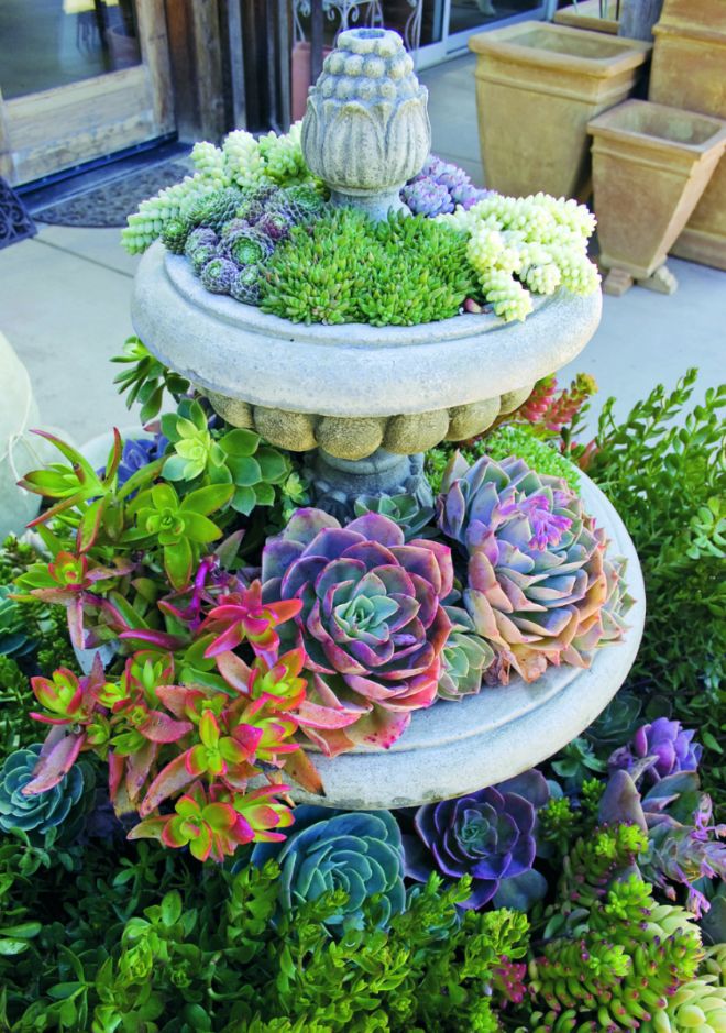 Upcycle Garden Ideas