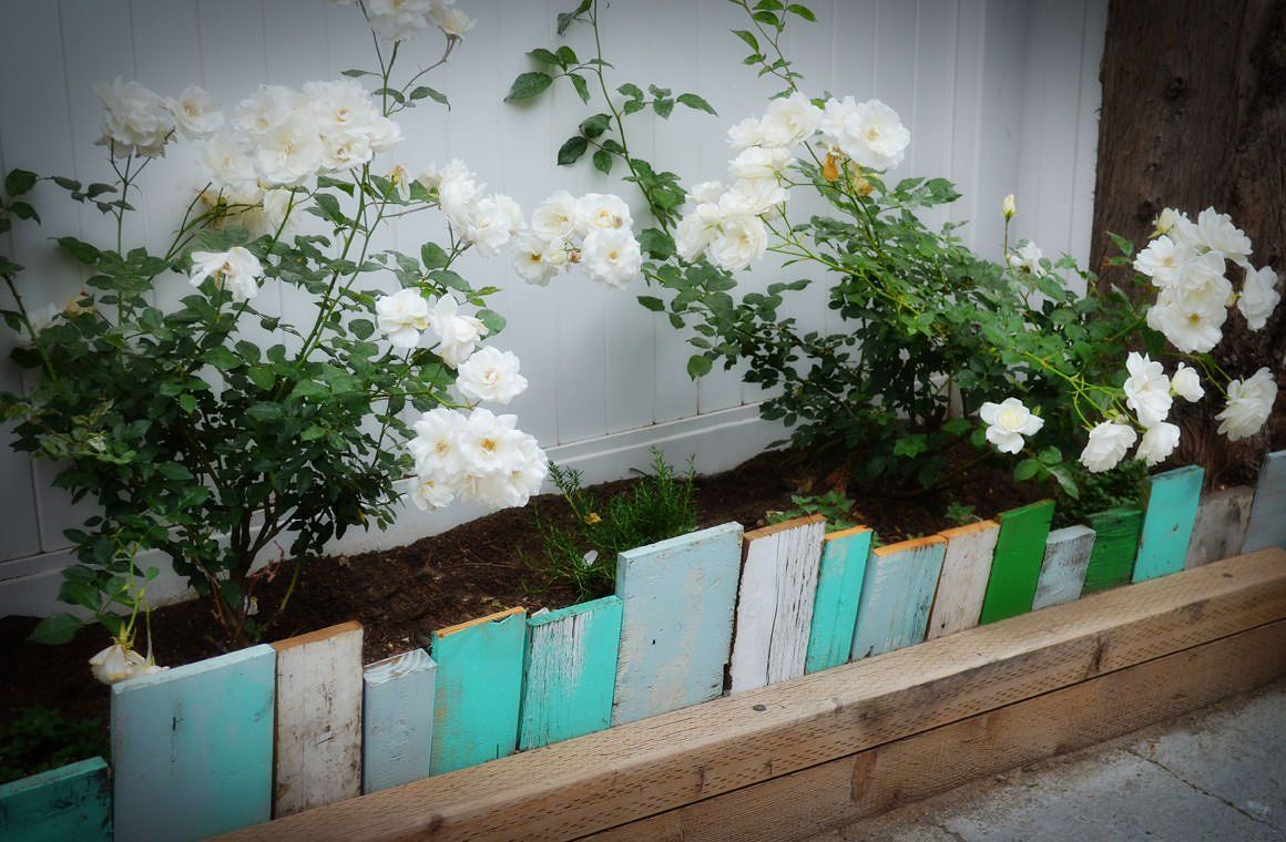 Build Raised Beds
