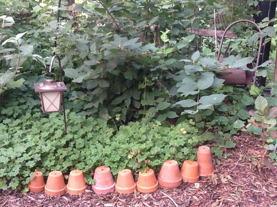 Diy Garden Bed Edging Ideas