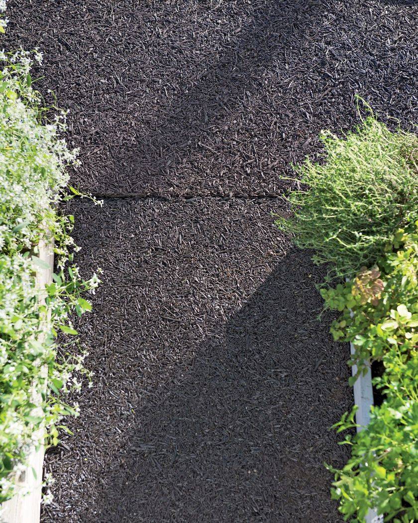 Small Garden