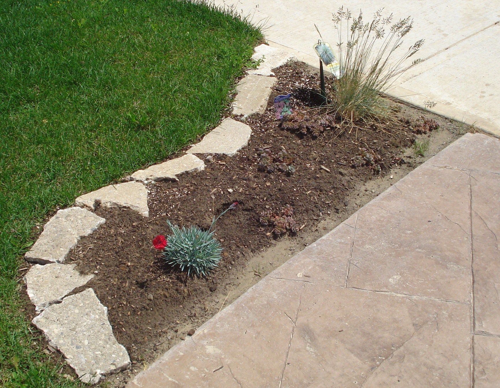 Eleven Interesting Garden Bed