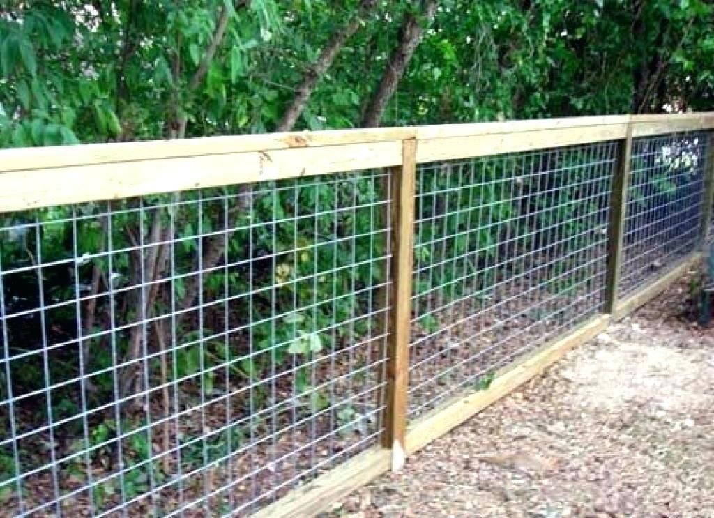 Easy Cheap Backyard Privacy Fence Design Ideas