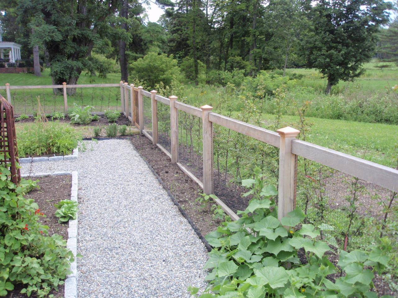 Vinyl Wire Mesh Fence Diy Garden Fence