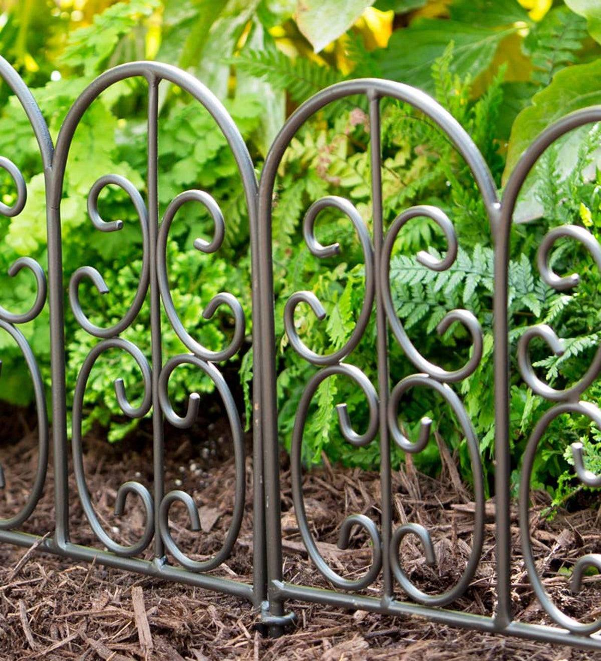 Scrolled Metal Garden Fence