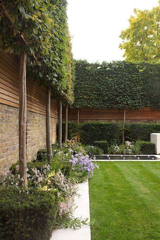 Small Garden Fence Ideas